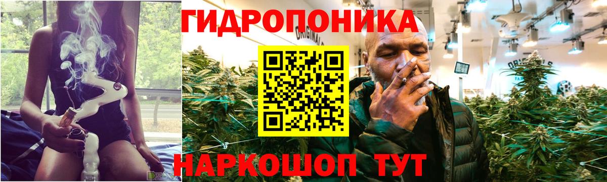 Марихуана план Великие Луки